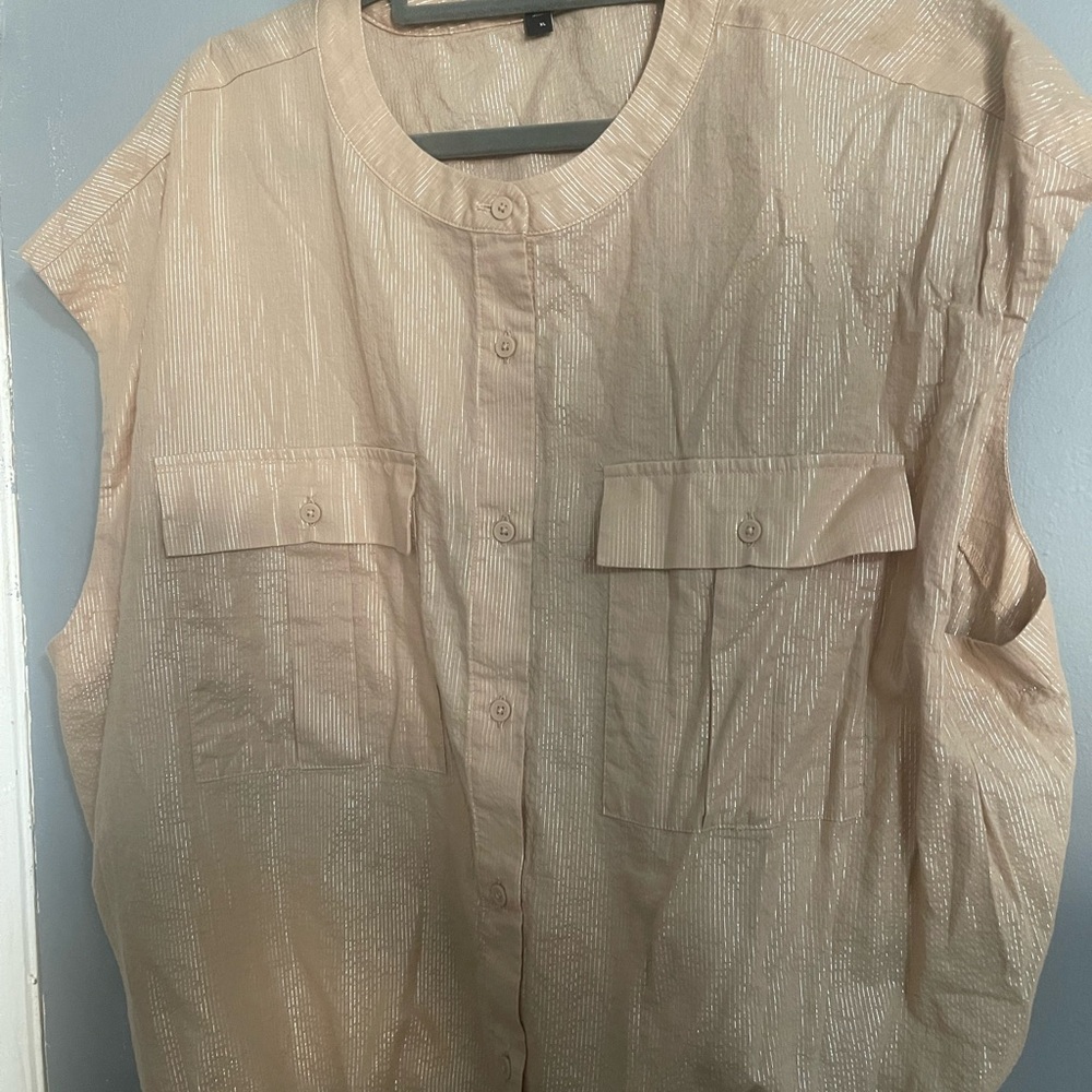 Express Beige Metallic Pinstripe Top with elastic waist.